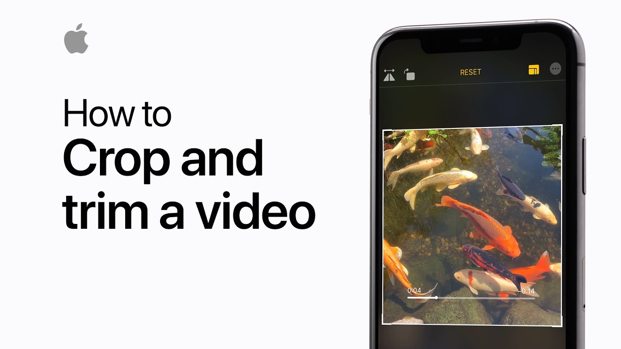 How to crop and trim a video on your iPhone or iPad — Apple Support